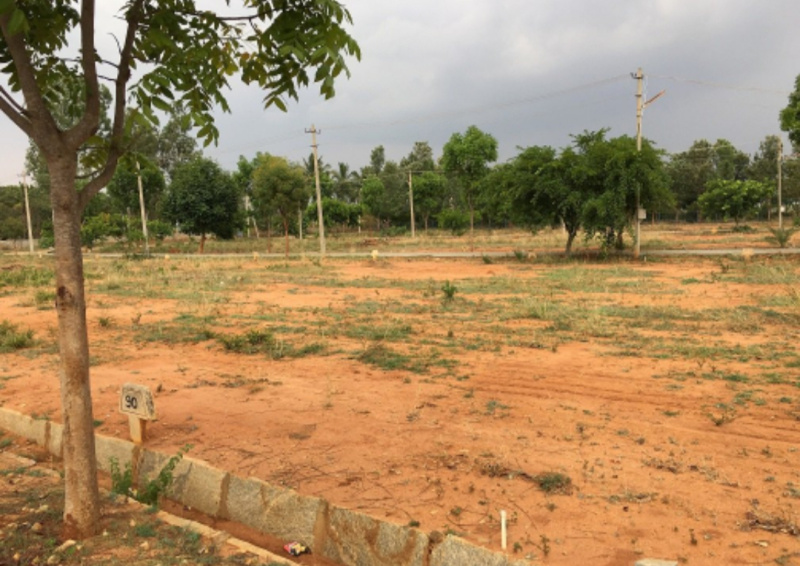  Residential Plot 1200 Sq.ft. for Sale in Civil Lines, Agra