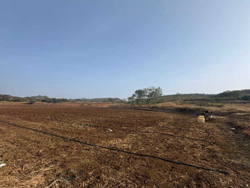  Agricultural Land 87120 Sq.ft. for Sale in Pargi, Vikarabad