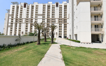 3 BHK Flat for Sale in Sector 102 Gurgaon