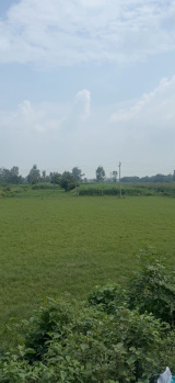  Agricultural Land for Sale in Dappar, Dera Bassi