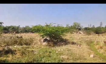  Agricultural Land for Sale in Bichkunda, Kamareddy