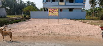  Residential Plot for Sale in Tanuku, West Godavari