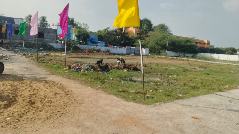  1000 Sq.ft. Residential Plot for Sale in Kattankulathur, Chengalpattu