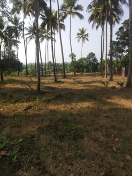  Residential Plot for Sale in Kundapura, Udupi