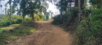  Agricultural Land for Sale in Aldur, Chikmagalur