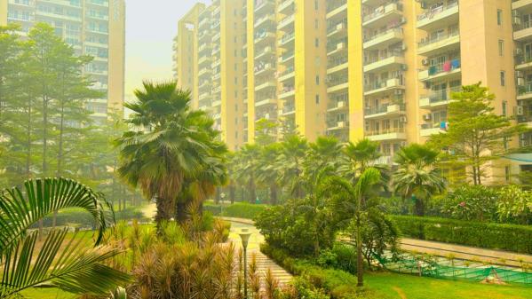 3 BHK Apartment 1600 Sq.ft. for Rent in Sector 69 Gurgaon