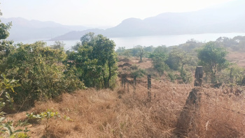  Residential Plot for Sale in Mulshi, Pune