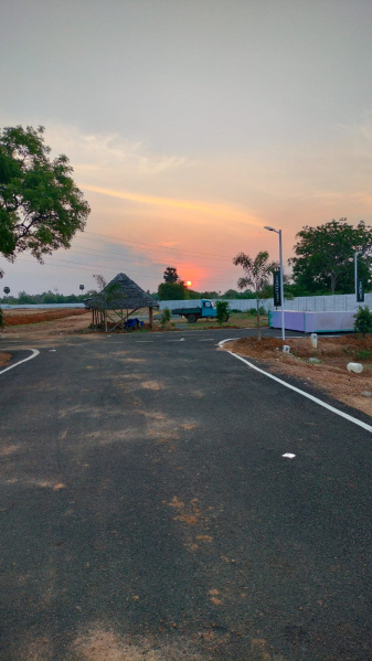  Residential Plot 1200 Sq.ft. for Sale in Fathima Nagar, Tiruchirappalli
