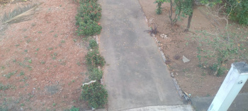 4 BHK House for Sale in Nuzvid, Krishna