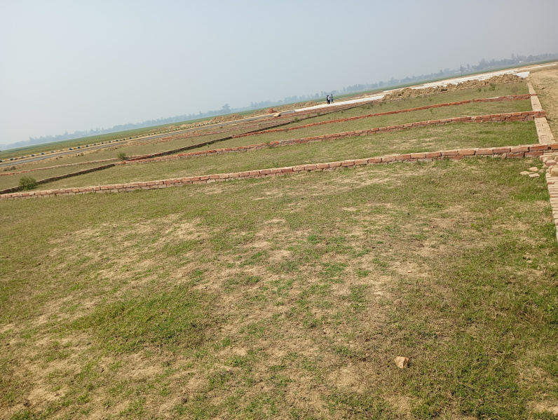  Residential Plot 1000 Sq.ft. for Sale in Kaudia Jungle, Gorakhpur