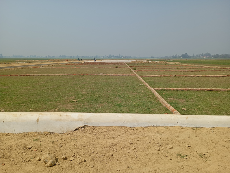  Residential Plot 1000 Sq.ft. for Sale in Kaudia Jungle, Gorakhpur