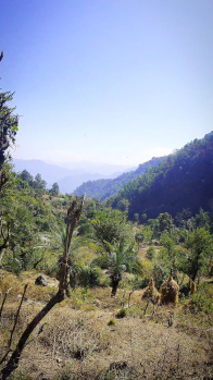  Agricultural Land for Sale in Narendra Nagar, Rishikesh