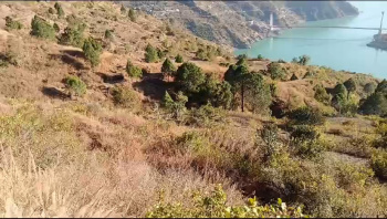  Agricultural Land for Sale in Tehri, Tehri Garhwal