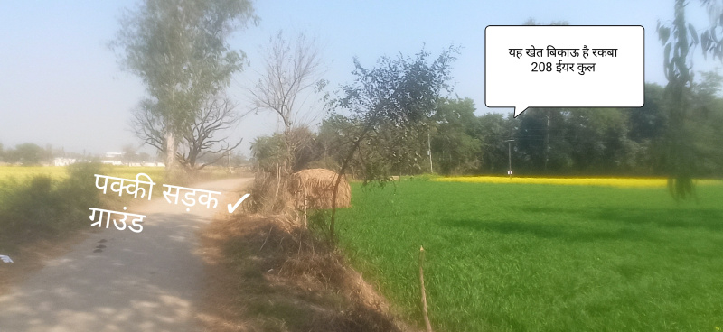  Agricultural Land 2 Bigha for Sale in Nawabganj Barabanki