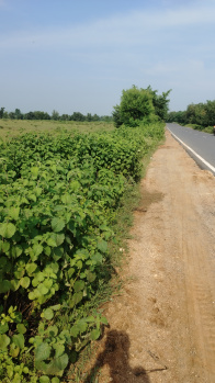  Industrial Land for Sale in Daltonganj, Palamu