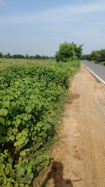 Industrial Land 93 Dismil for Sale in Daltonganj, Palamu
