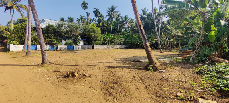  Commercial Land 19 Cent for Sale in Kodakara, Thrissur