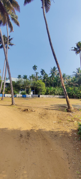  Commercial Land 19 Cent for Sale in Kodakara, Thrissur