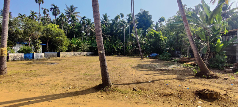  Commercial Land 19 Cent for Sale in Kodakara, Thrissur