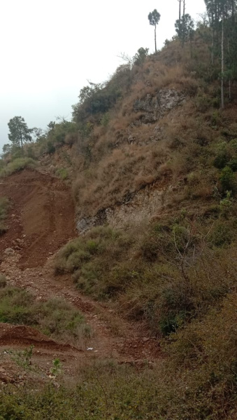  4 Bigha Residential Plot for Sale in Arki, Solan