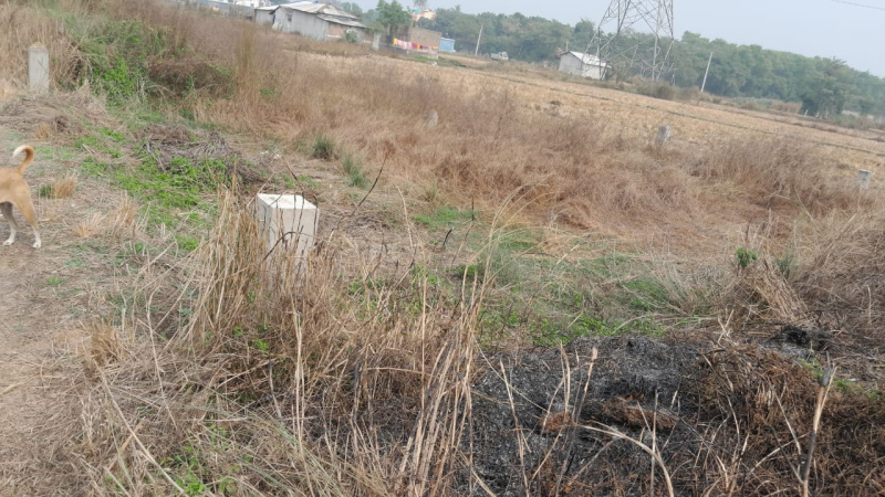  Residential Plot 1600 Sq.ft. for Sale in Sankarpur, Medinipur