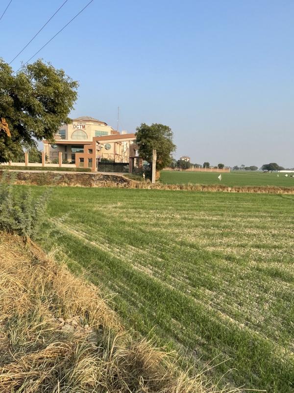  Agricultural Land 4 Acre for Sale in Banchari, Palwal