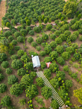  Agricultural Land for Sale in Kandukuru, Hyderabad