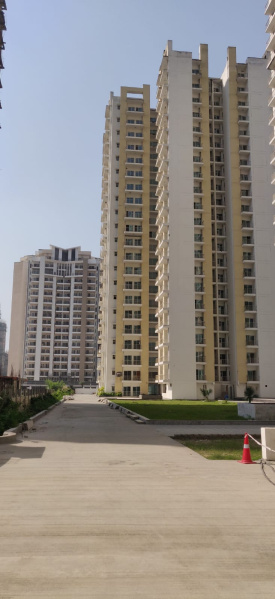 3 BHK Apartment 1640 Sq.ft. for Sale in Greater Noida West