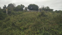 Commercial Land for Sale in Shoolagiri, Krishnagiri