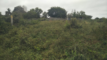  Commercial Land for Sale in Shoolagiri, Krishnagiri