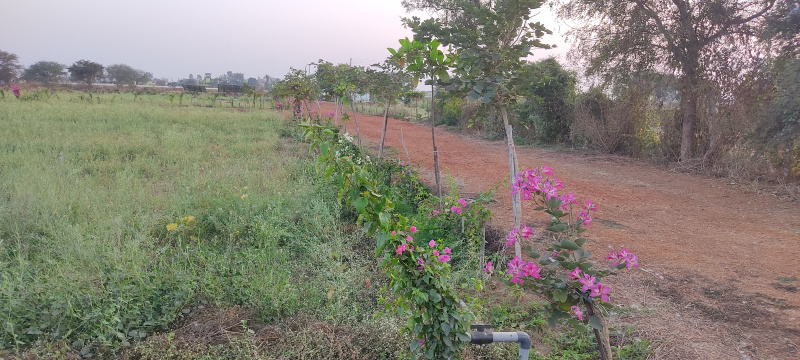 1 RK Farm House 6500 Sq.ft. for Sale in Nagpura, Durg