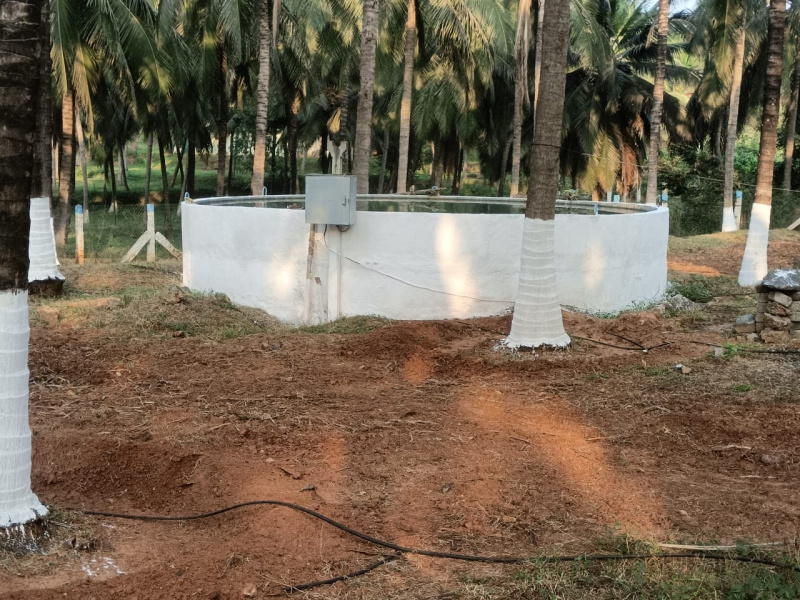  Agricultural Land 78 Acre for Sale in Pollachi, Coimbatore