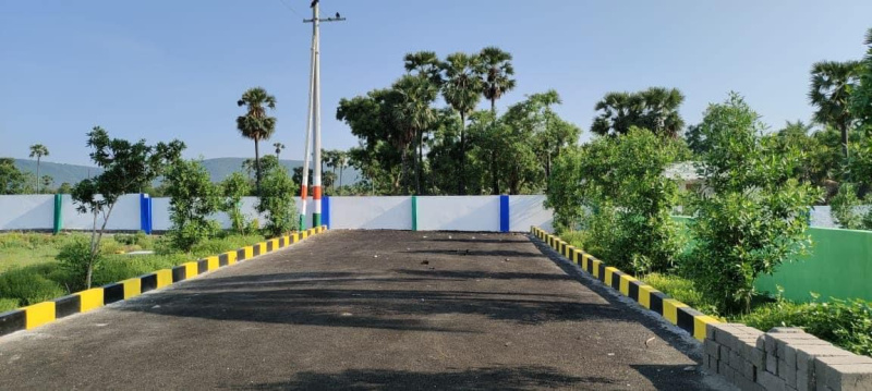  Commercial Land 100 Sq. Yards for Sale in Tagarapuvalasa, Visakhapatnam