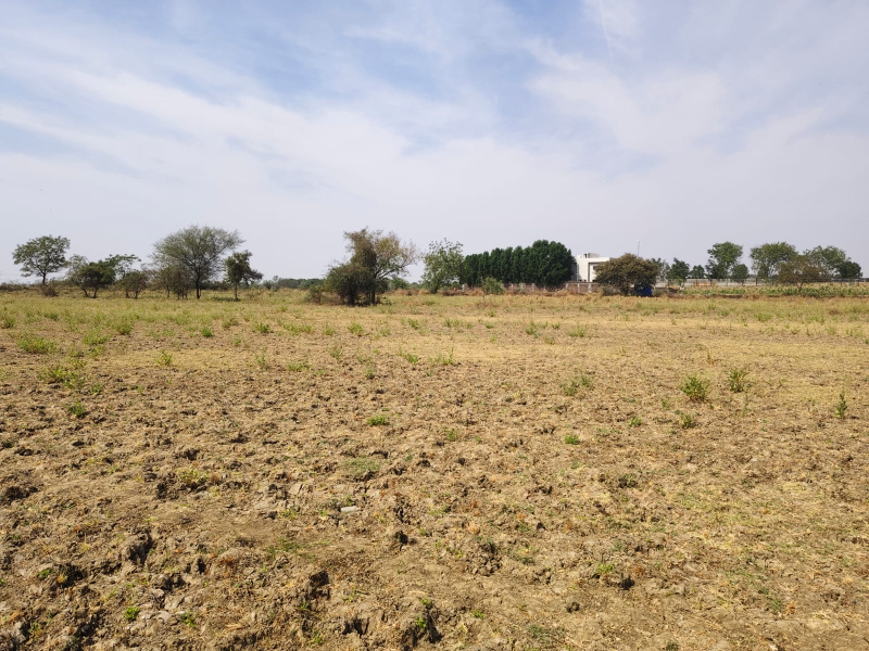  Agricultural Land 18 Bigha for Sale in Halol, Vadodara