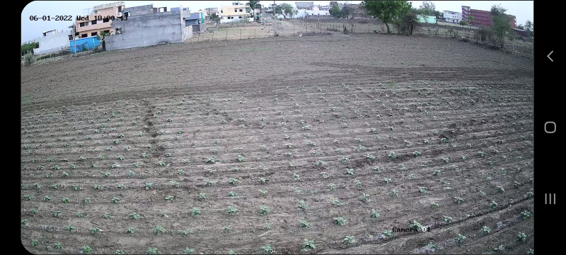 1000000 Sq.ft. Agricultural/Farm Land for Rent in Kharbi, Nagpur