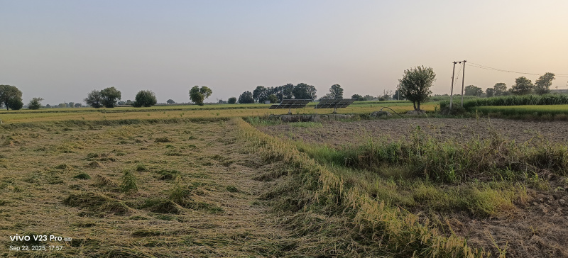  15 Bigha Agricultural/Farm Land for Sale in Gohana, Sonipat