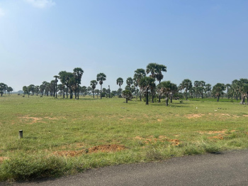  Agricultural Land for Sale in Nanguneri, Tirunelveli