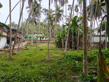  Residential Plot for Sale in Areekode, Malappuram