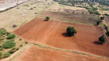  Agricultural Land for Sale in Chandra Colony, Bellary