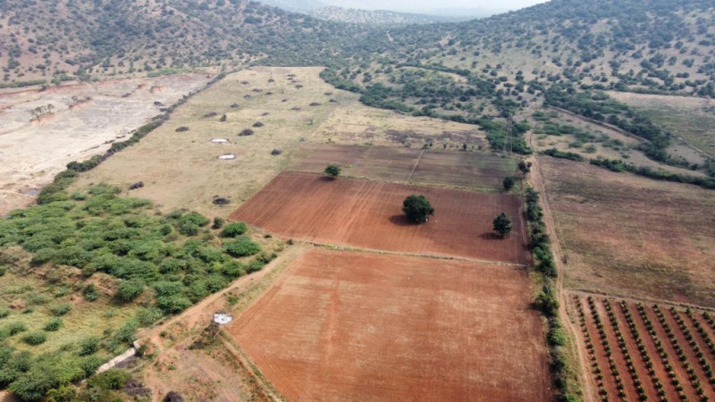  Agricultural Land 25 Acre for Sale in Chandra Colony, Bellary