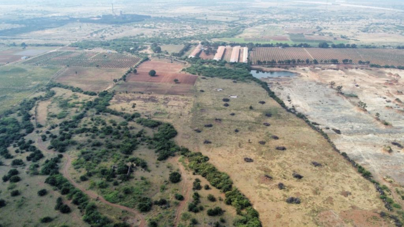  Agricultural Land 25 Acre for Sale in Chandra Colony, Bellary