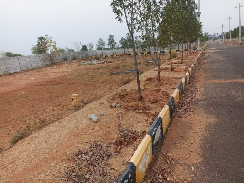  Residential Plot 183 Sq. Yards for Sale in Bhongir, Yadadri Bhuvanagiri