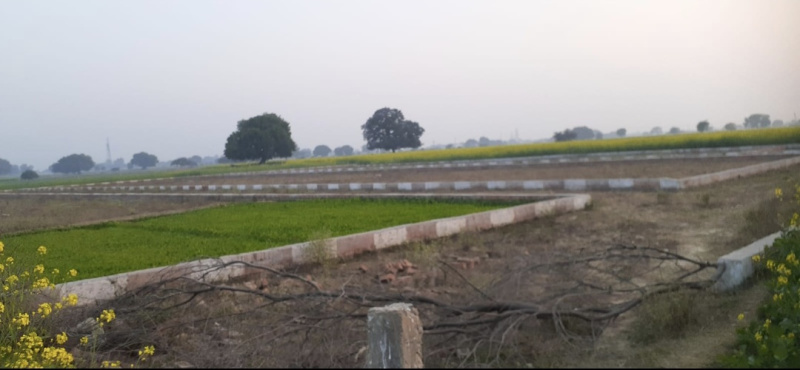  Residential Plot 100 Sq. Yards for Sale in Rooma, Kanpur