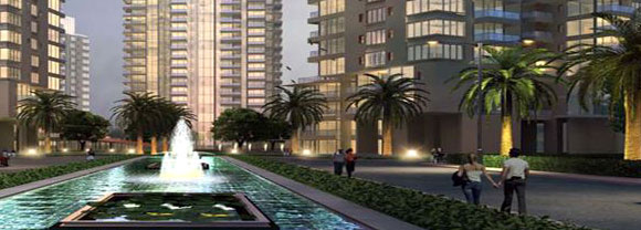  Commercial Shop 562 Sq.ft. for Sale in Sector 67 Gurgaon