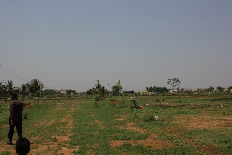  Residential Plot 3600 Sq.ft. for Sale in Manavasi, Karur