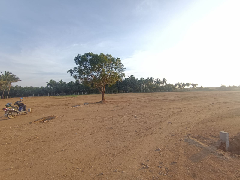  Residential Plot 9500 Sq.ft. for Sale in Chettipalayam, Coimbatore