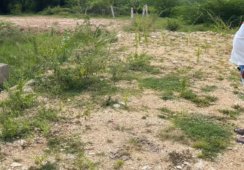  Residential Plot 38 Cent for Sale in Renigunta, Tirupati