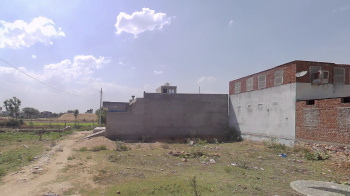  Residential Plot for Sale in Banasthali, Tonk