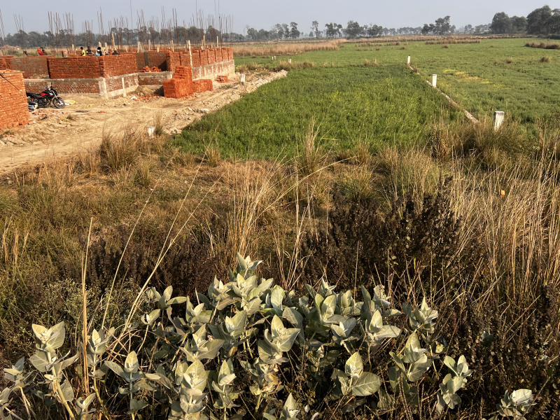  Residential Plot 7 Katha for Sale in Bihta, Patna