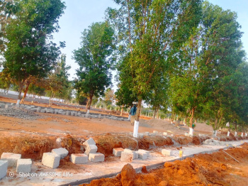  Residential Plot for Sale in Vatluru, Eluru